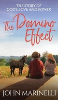 Cover: The Domino Effect - Independent Author