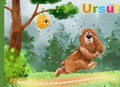 Cover: Ursul. Poezii pentru copii. - Vaschevici Creations