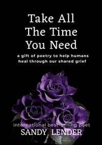Enlarge image Cover: Take All the Time You Need - Iyf Publishing/Dragon Hoard Press