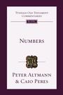Cover: Numbers: Volume 4 - IVP Academic