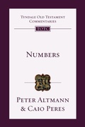Cover: Numbers: Volume 4 - IVP Academic
