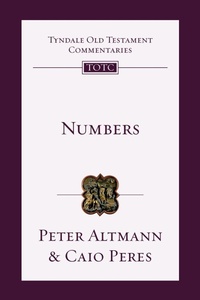 Enlarge image Cover: Numbers: Volume 4 - IVP Academic