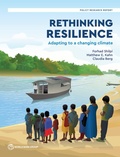 Cover: Rethinking Resilience - World Bank Publications