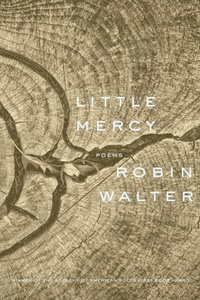 Enlarge image Cover: Little Mercy - Graywolf Press