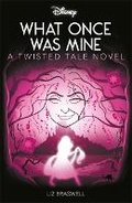 Cover: Disney Princess Rapunzel: What Once Was Mine - Autumn Publishing