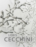 Cover: Loris Cecchini - Five Continents Editions