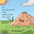 Cover: If by Chance You Swallow an Ant - R&P Online Enterprises