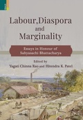 Cover: Labour, Diaspora and Marginality - Primus Books