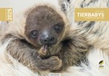 Cover: Tierbabys - Kiko Verlag