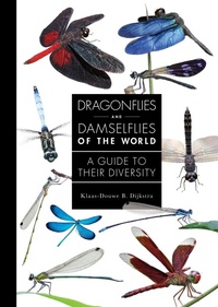 Abbildung von: Dragonflies and Damselflies of the World - Princeton University Press