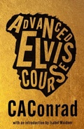 Cover: Advanced Elvis Course - Peninsula Press Ltd