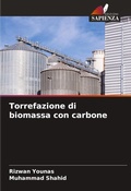Cover: Torrefazione di biomassa con carbone - Edizioni Sapienza