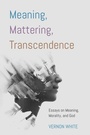 Cover: Meaning, Mattering, Transcendence - Wipf and Stock Publishers