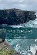 Cover: Learning to Jump - Wipf and Stock Publishers