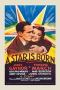 Cover: A Star Is Born - Maple Spring Publishing