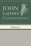 Cover: Commentaries on the Epistle of Paul the Apostle to the Hebrews - Wipf and Stock Publishers