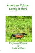 Cover: American Robins - Parson's Porch