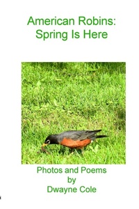 Enlarge image Cover: American Robins - Parson's Porch