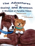 Cover: The Adventures of Daisy and Bronson - Ink Way Publishing, LLC