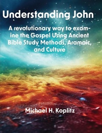 Abbildung von: Understanding John - Michael Koplitz