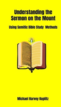 Abbildung von: Understanding the Sermon on the Mount - Michael Koplitz