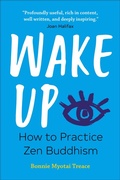 Cover: Wake Up - Callisto