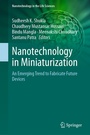 Cover: Nanotechnology in Miniaturization - Springer