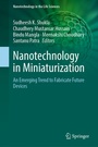 Cover: Nanotechnology in Miniaturization - Springer