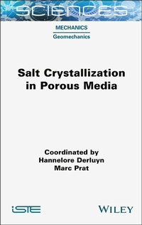 Abbildung von: Salt Crystallization in Porous Media - Wiley