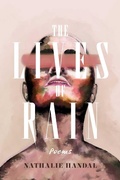 Cover: The Lives of Rain - Interlink Books