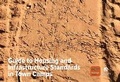 Cover: Guide to Housing and Infrastructure Standards in Town Camps - Australian Scholarly Publishing