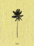 Cover: Decoding Palm Culture - Rizzoli