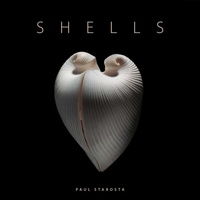 Enlarge image Cover: Shells - Five Continents Editions