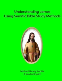 Abbildung von: Understanding James - Michael Koplitz