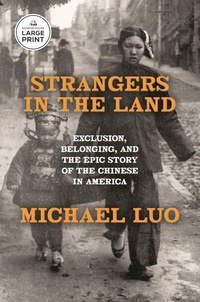 Enlarge image Cover: Strangers in the Land - Random House Large Print