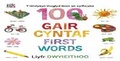 Cover: Y Lindysyn Llwglyd Iawn yn cyflwyno 100 Gair Cyntaf (First Words) - Dref Wen