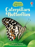 Cover: Caterpillars and Butterflies (Usborne Beginners) - Usborne Publishing Ltd