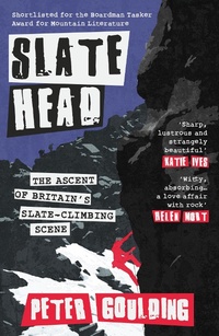 Enlarge image Cover: Slatehead - Parthian Books