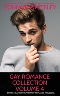 Cover: Gay Romance Collection Volume 4 - CGD Publishing