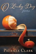 Cover: O Lucky Day - Madville Publishing LLC