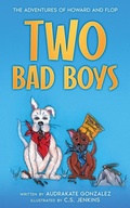 Cover: Two Bad Boys - Twenty Hills Publishing