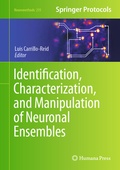 Bild: Identification, Characterization, and Manipulation of Neuronal Ensembles - Humana