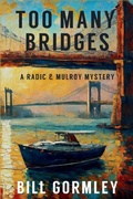 Cover: Too Many Bridges - Level Best - Historia