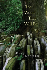 Enlarge image Cover: The Wood That Will Be Used - Shearsman Books
