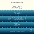 Cover: Waves in an Impossible Sea - HighBridge Audio