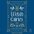 Cover: Welsh Fairies - Tantor Audio