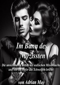 Cover: Im Bann des Narzissten - epubli