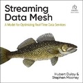Cover: Streaming Data Mesh - Ascent Audio