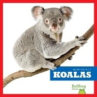 Enlarge image Cover: Koalas - Bullfrog Books