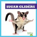 Cover: Sugar Gliders - Bullfrog Books